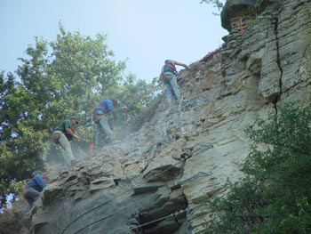 Generic placeholder image